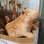 Плюшена костенурка Ива - Снимка 3